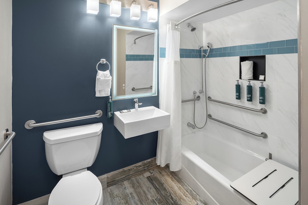 Room, 1 King Bed, Accessible, Bathtub