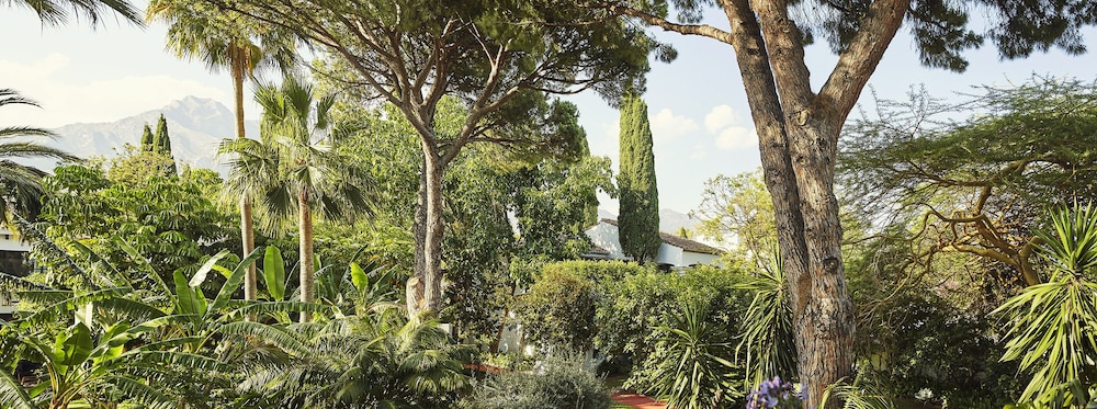 Suite (La Concha)