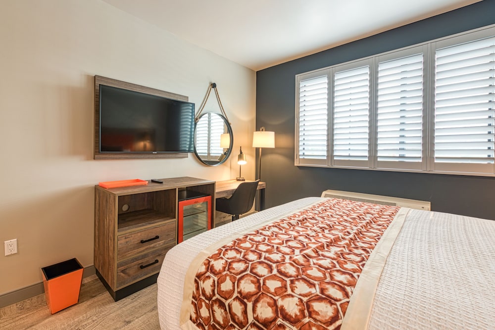 Classic Single Room, 1 King Bed, Non Smoking, Bathtub photo 3