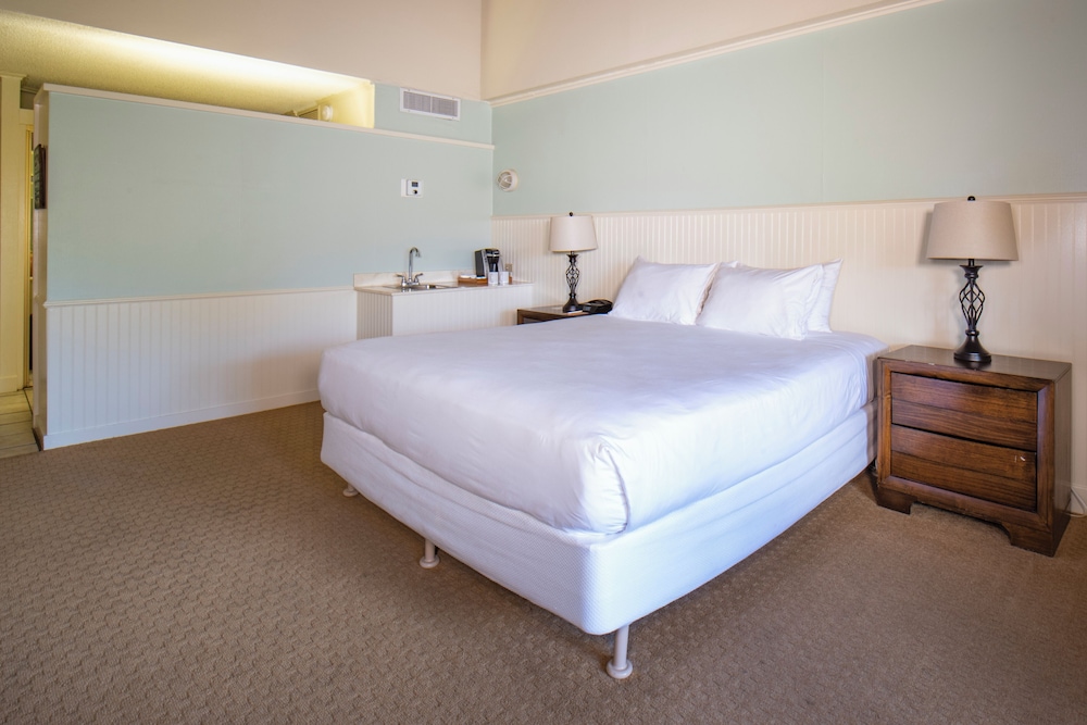 Room, 1 King Bed photo 3