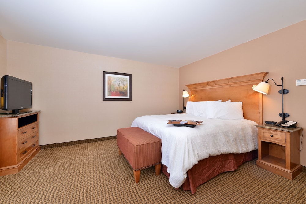 Room, 1 King Bed, Accessible - Photo 6