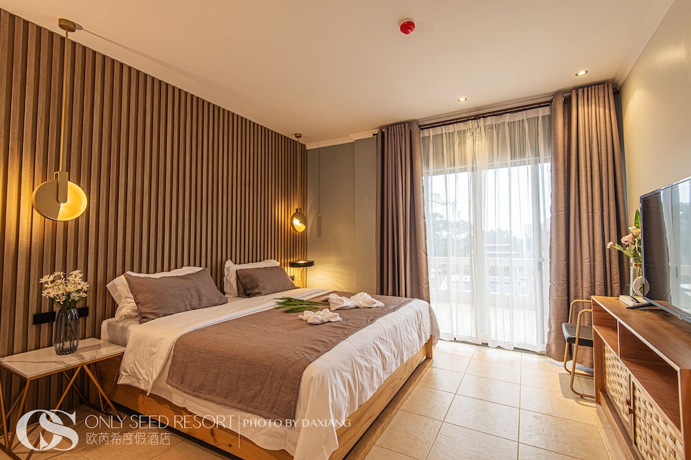 Deluxe Double Room, 1 King Bed, Non Smoking - Photo 1