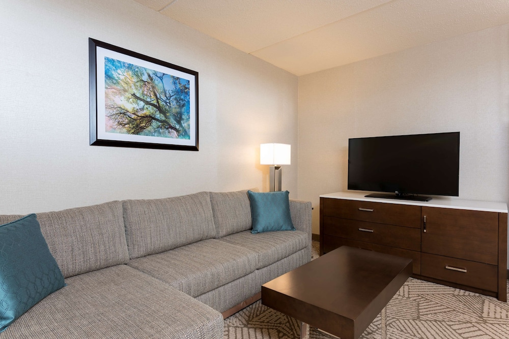 Suite, 1 King Bed, Non Smoking - Photo 3