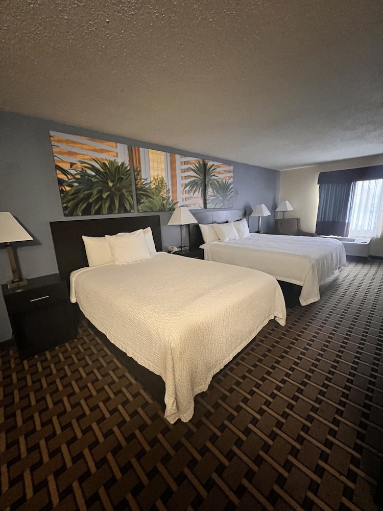 Studio Suite, Multiple Beds, Non Smoking photo 3