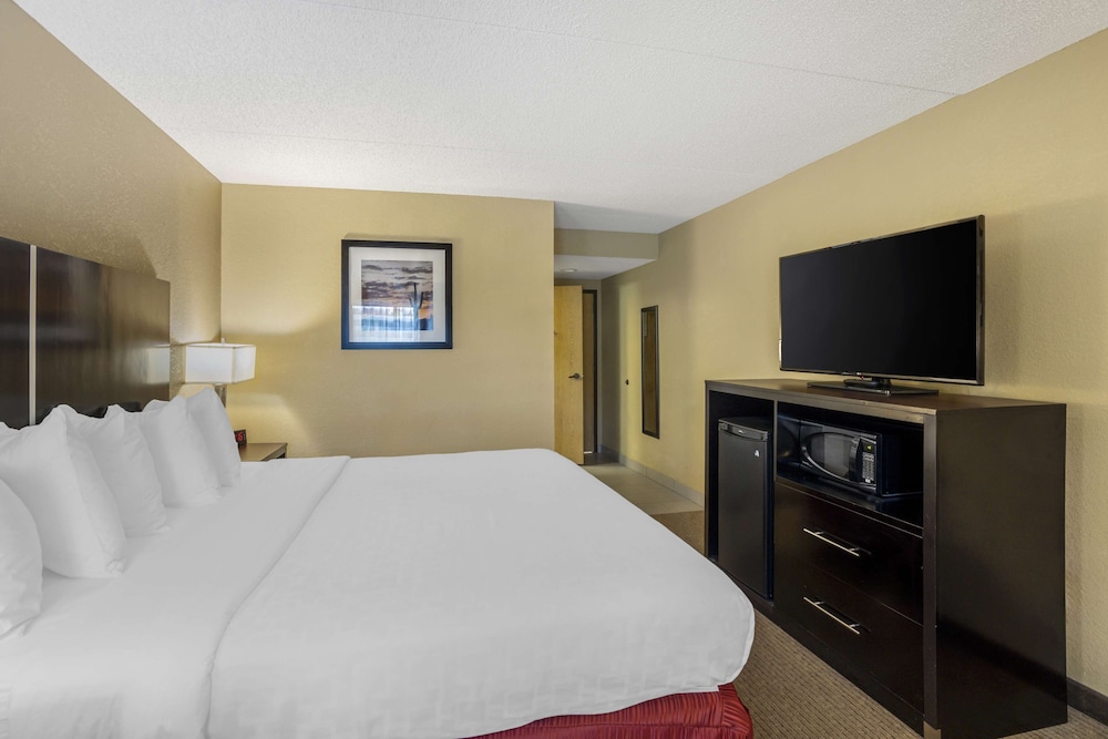 Standard Room, 1 King Bed, Non Smoking, Microwave (with Sofabed) - Photo 2