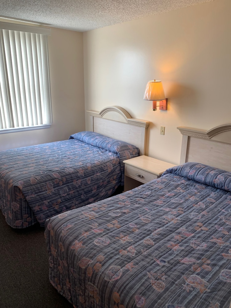 1 Bedroom Deluxe Efficiency Suite {C}
