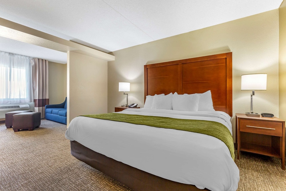Deluxe Suite 1 King Bed, Sofa Bed, Sitting Area, Non-Smoking photo 1