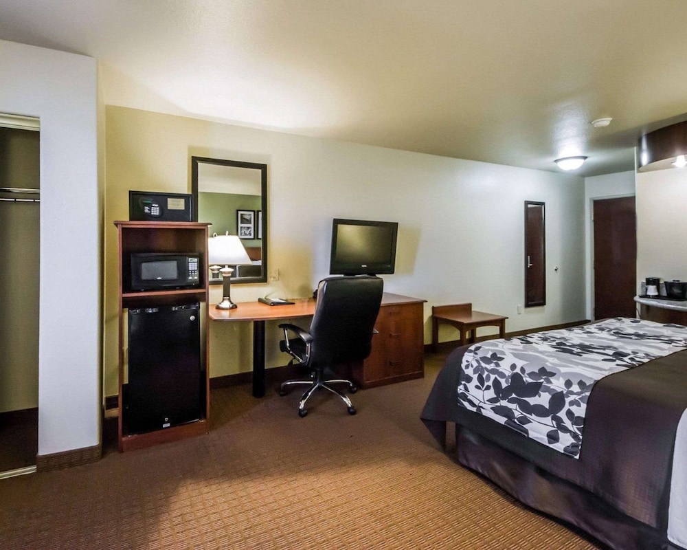 Standard Room, 1 King Bed, Non Smoking - Photo 5