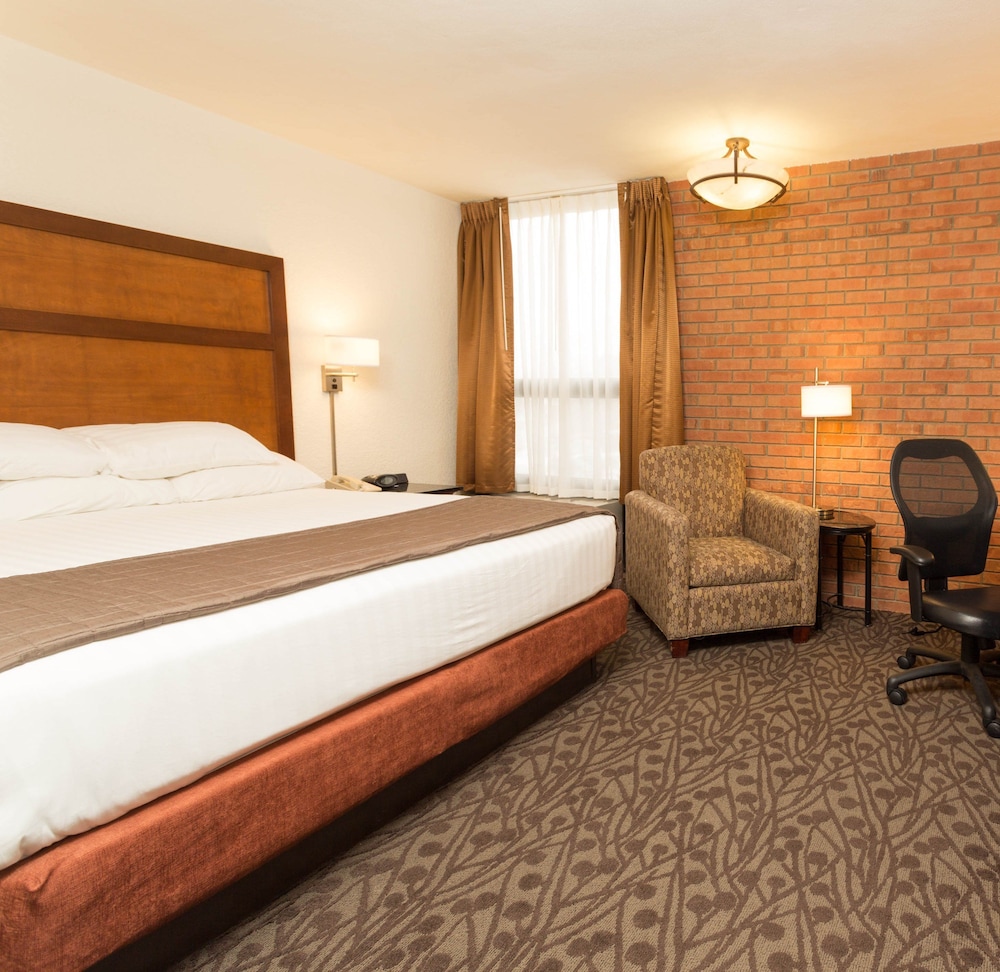 Standard Room, 1 King Bed, Refrigerator & Microwave photo 1