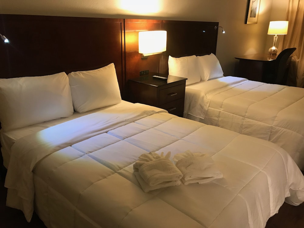 Luxury Suite, 2 Double Beds, Refrigerator & Microwave photo 1