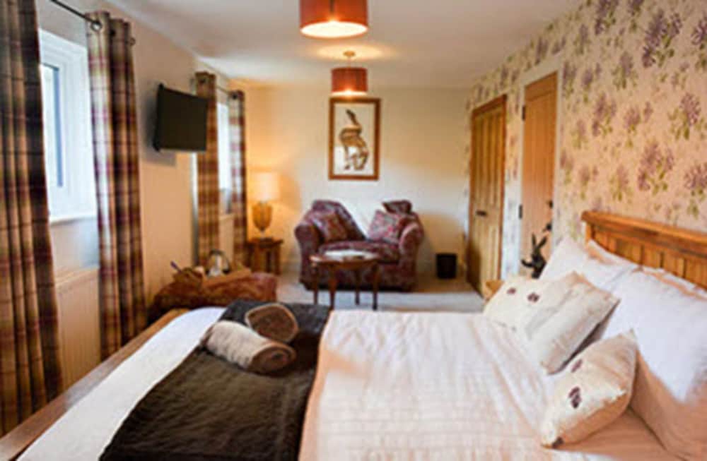 Double Room, 1 King Bed photo 3
