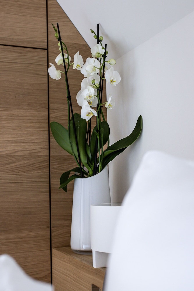 Superior Room photo 2