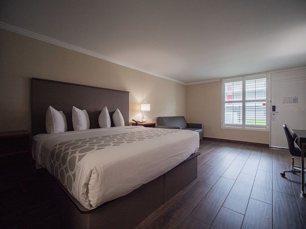 Standard Room, 1 King Bed - Photo 9