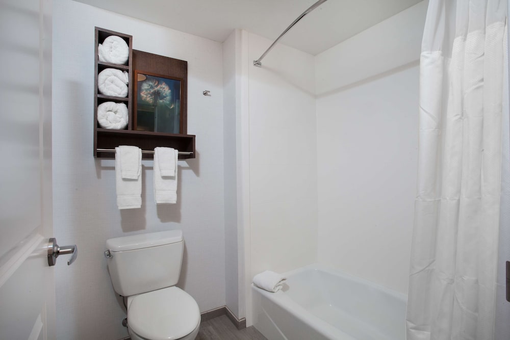 Suite, 1 Bedroom