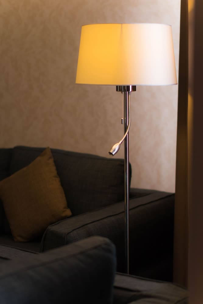 Deluxe Double or Twin Room photo 2