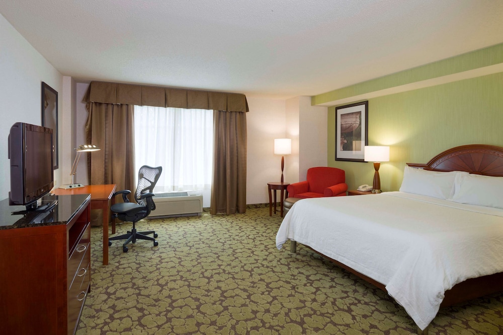 Room, 1 King Bed, Accessible (Mobility & Hearing, 3x3 Shower) - Photo 1