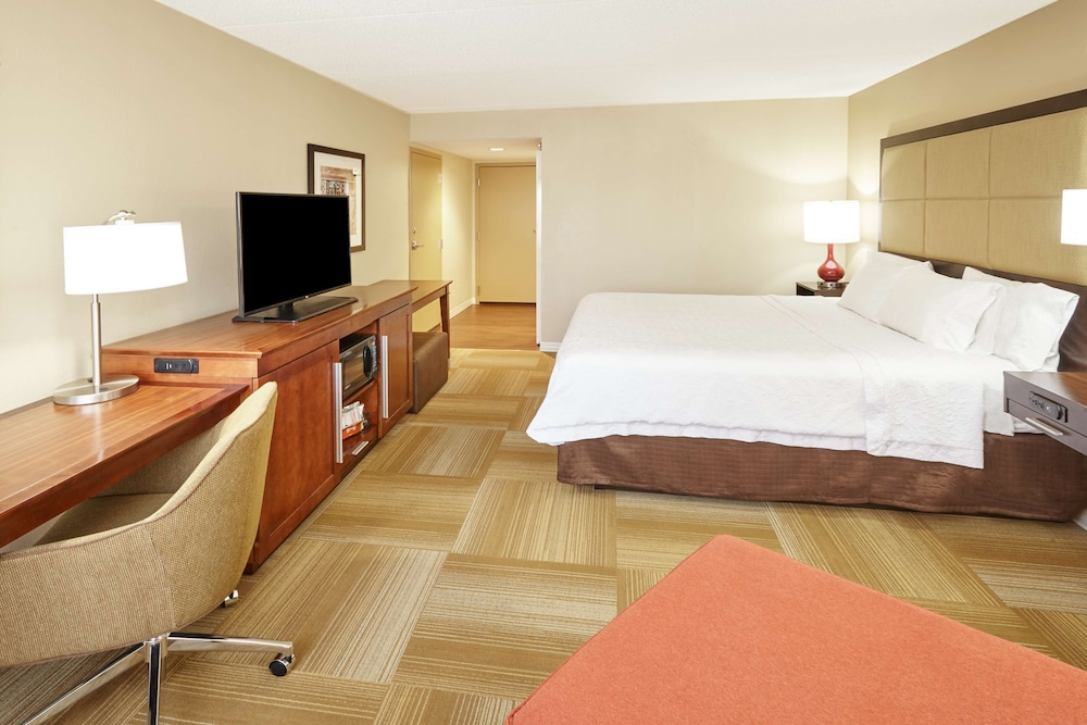 Room, 1 King Bed, Non Smoking photo 2