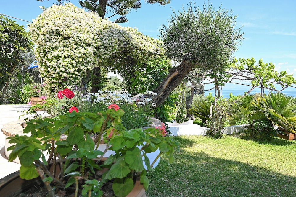 Economy Triple Room, 1 Bedroom, Patio photo 3