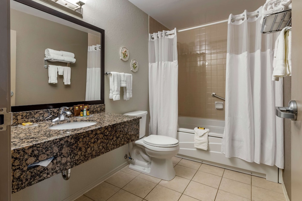 Suite, 1 King Bed, Non Smoking, Jetted Tub (with Sofabed) - Photo 5