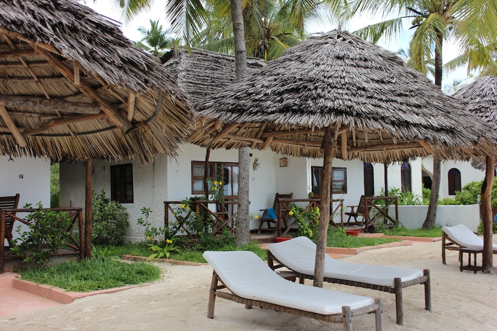 Standard Bungalow, Patio, Oceanfront photo 2