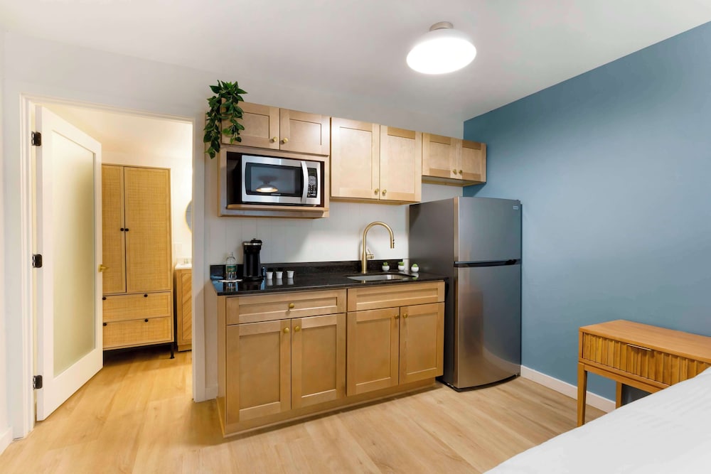 Standard Room, 1 King Bed, Non Smoking, Refrigerator & Microwave (Pet Friendly) - Photo 4