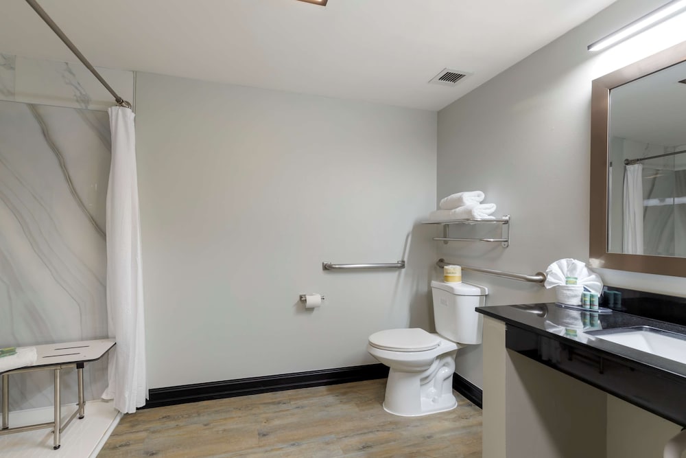 Standard Room, 1 King Bed, Accessible, Refrigerator & Microwave (Refrigerator & Microwave) - Photo 4