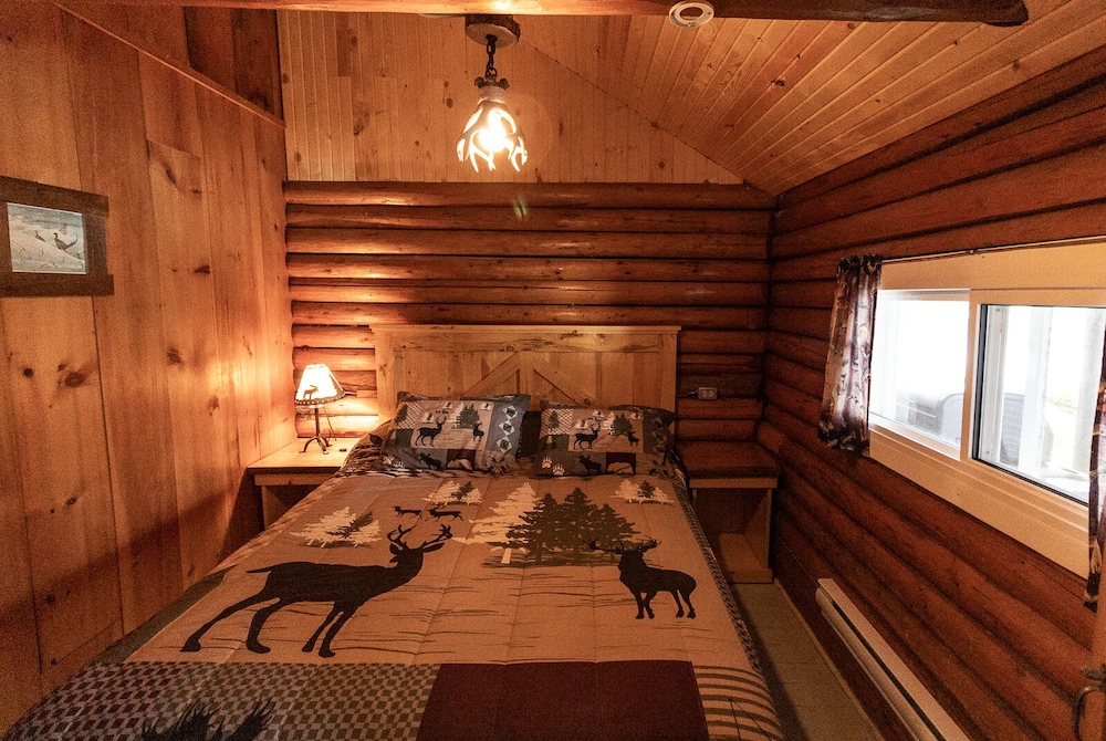 Deluxe Cabin photo 1