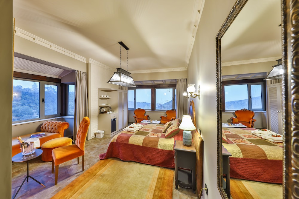 Deluxe Room, 1 Double Bed, Fireplace, Sea View photo 3