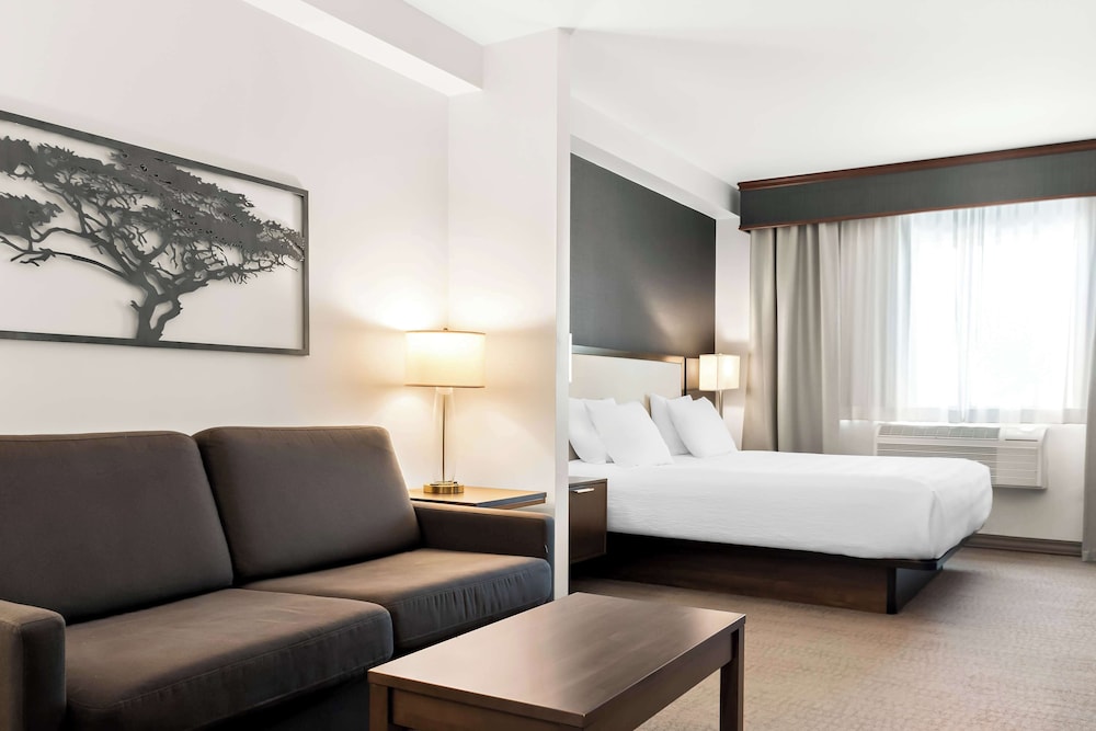 Suite, 1 King Bed, Refrigerator & Microwave (Shower Only;with Sofabed) - Photo 1