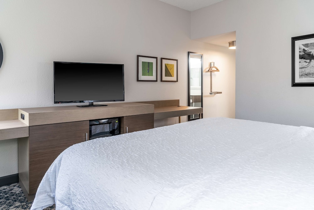 Room, 1 King Bed, Accessible - Photo 3