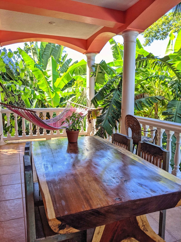 Toucan Suite photo 3