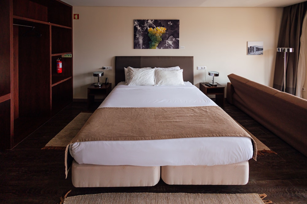 Deluxe Room - Photo 6