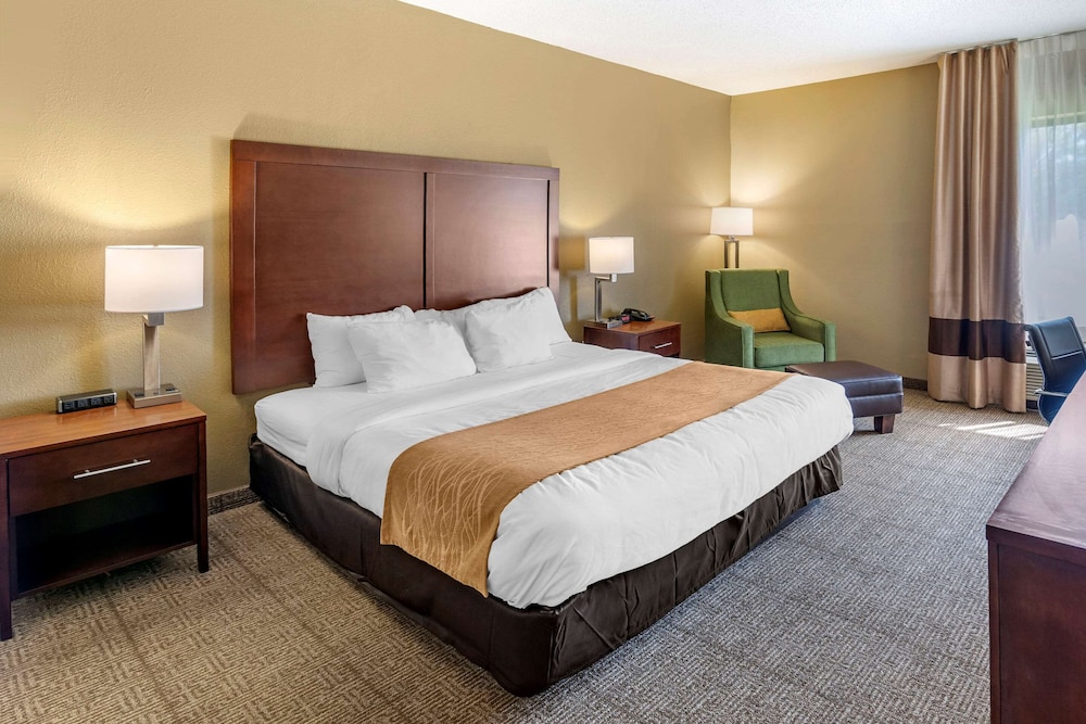 Standard Room, 1 King Bed, Non Smoking photo 2