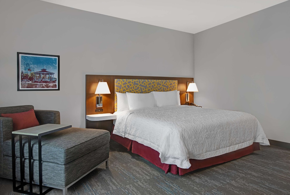 Suite, 1 King Bed, Accessible, Refrigerator & Microwave (Hearing) - Photo 4