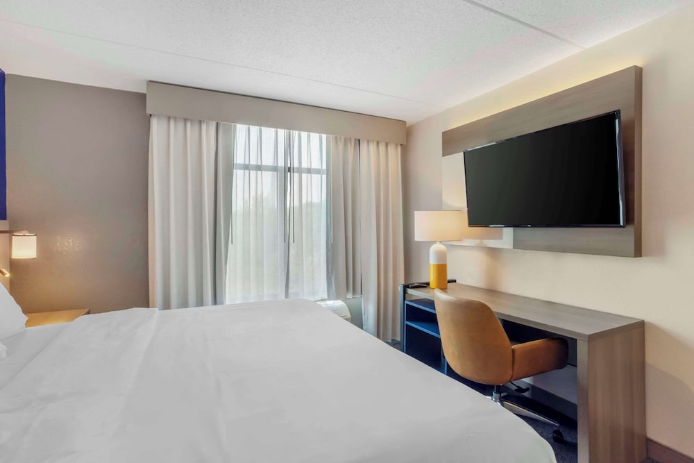 Suite, 1 King Bed with Sofa bed, Non Smoking - Photo 6