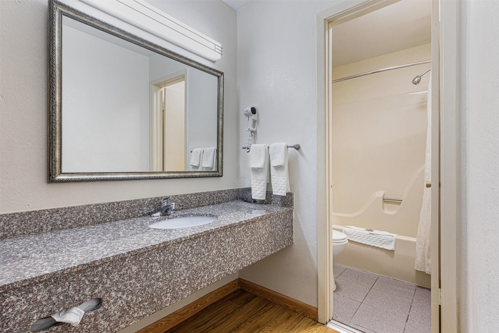 Suite, 1 King Bed, Non Smoking, Refrigerator & Microwave (with Single Sofabed;Larger Room) - Photo 4