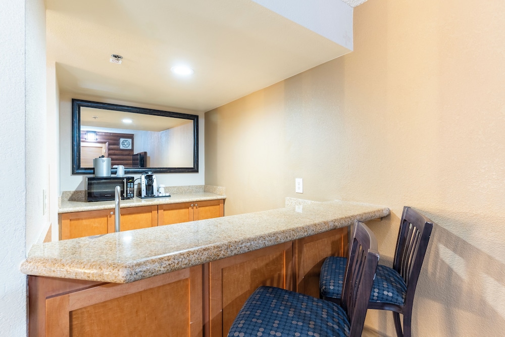 Suite, 1 Bedroom photo 3