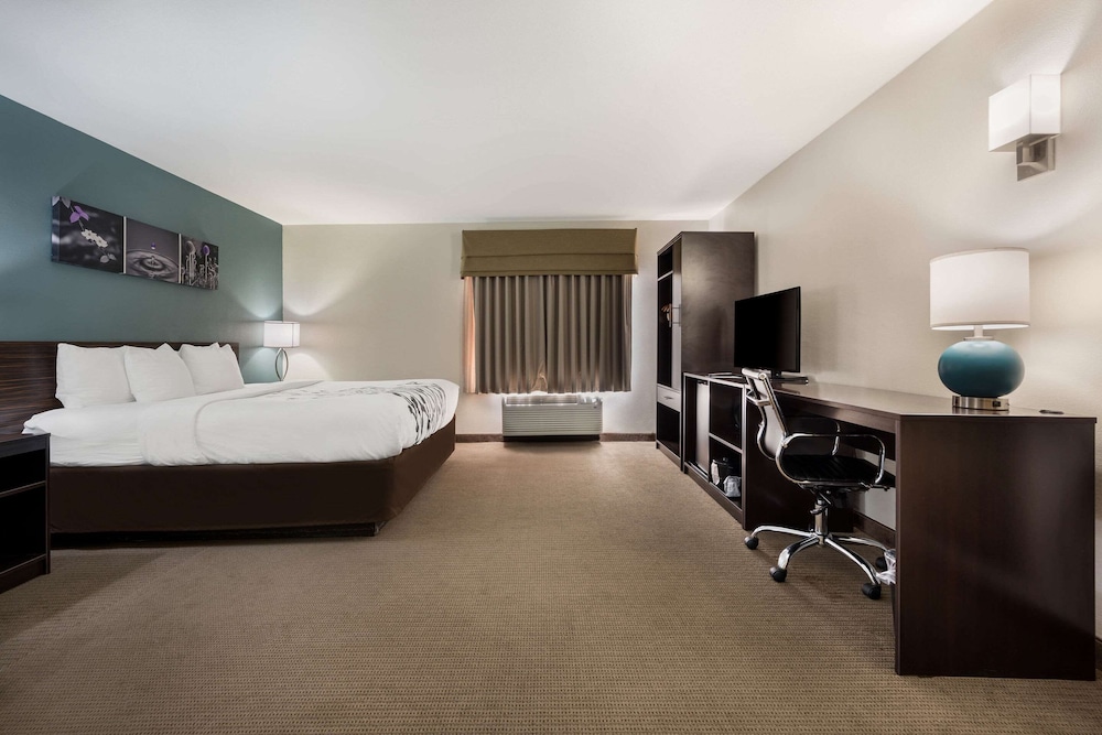 Suite, 1 Bedroom, Non Smoking (1 King Bed) - Photo 1
