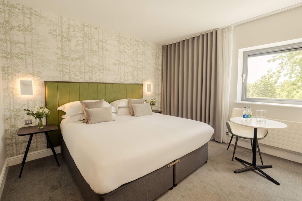 Deluxe King Room - Photo 4
