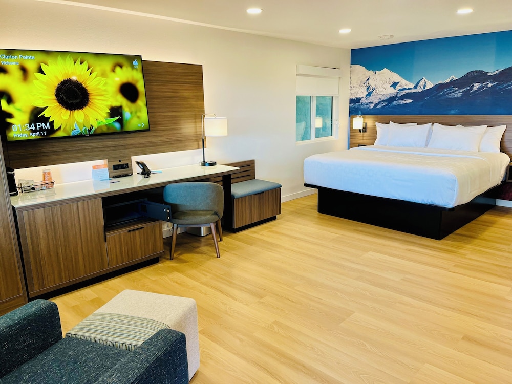 Room, 1 King Bed, Non Smoking photo 1