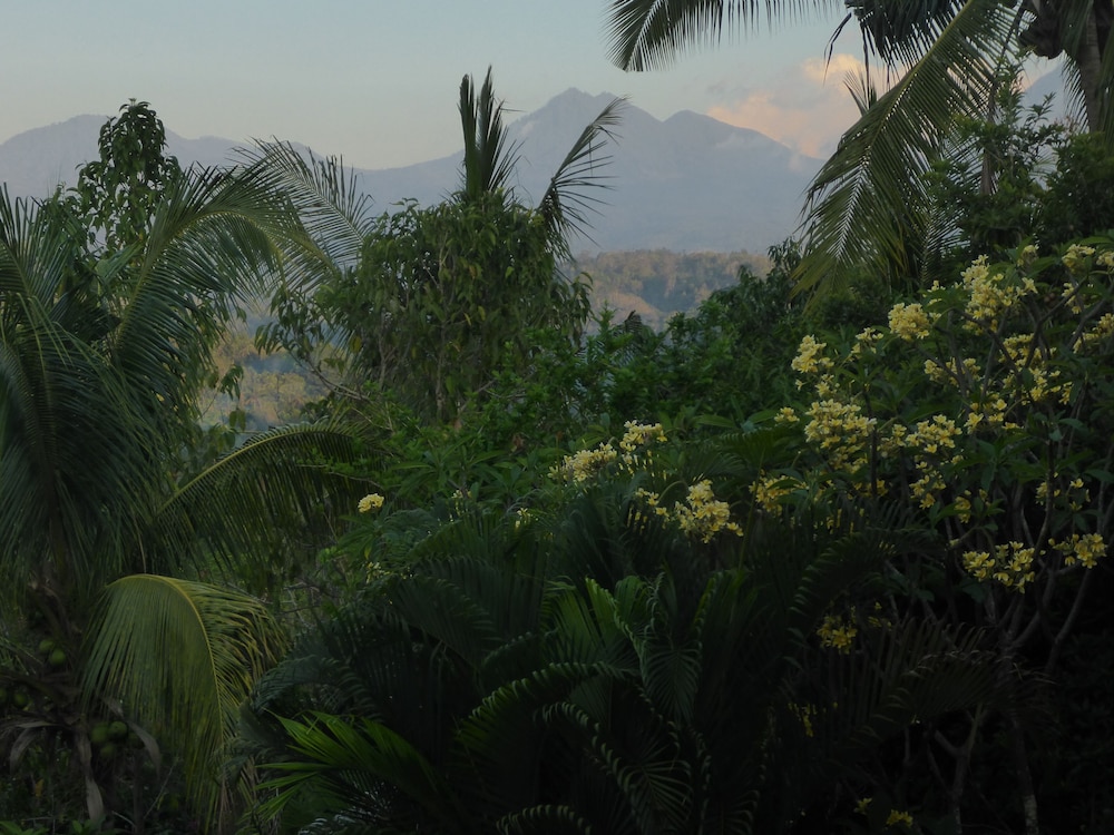 Villa Cempaka photo 3
