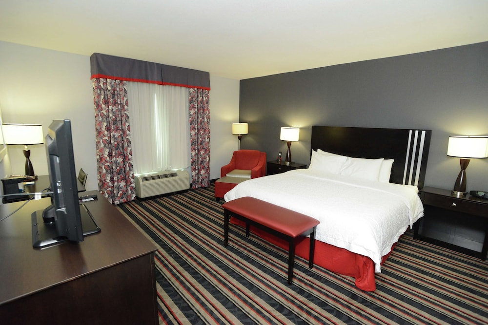 Room, 1 King Bed, Accessible photo 2