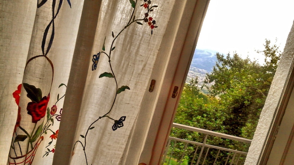 Double Room, Mountain View photo 3