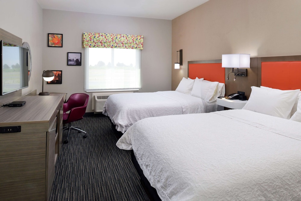 Two queen beds ns photo 1