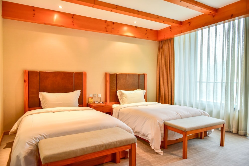 Basic Twin Room