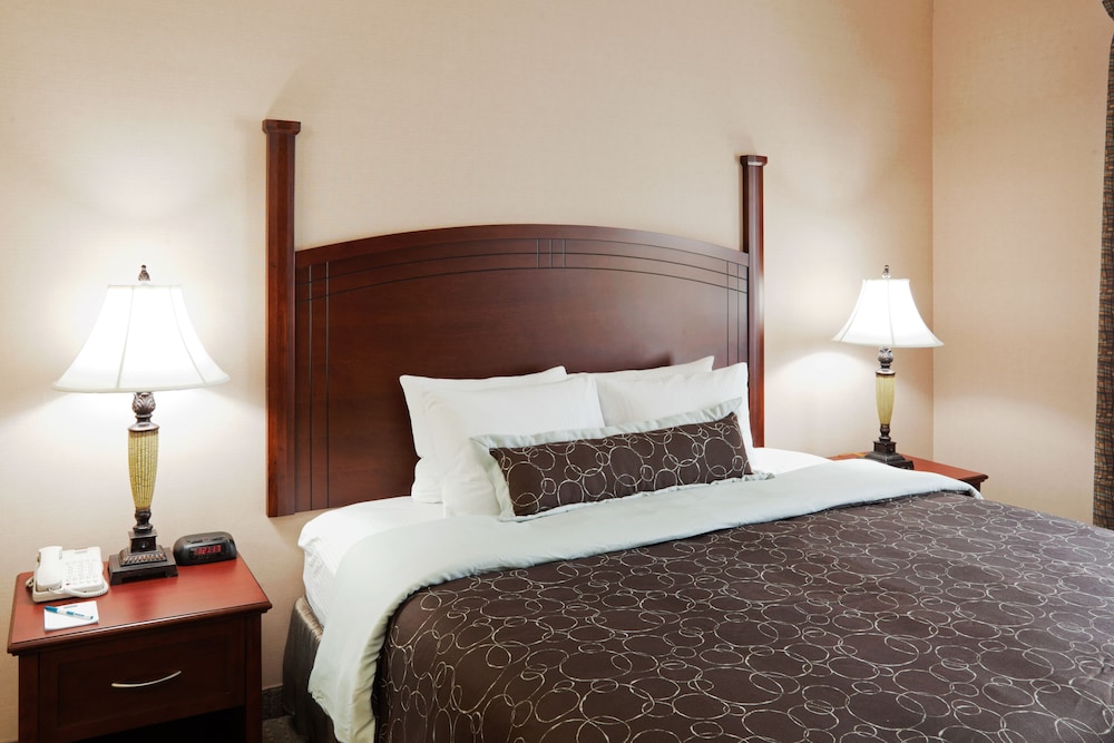 Studio Suite, 1 Queen Bed, Kitchen - Photo 3