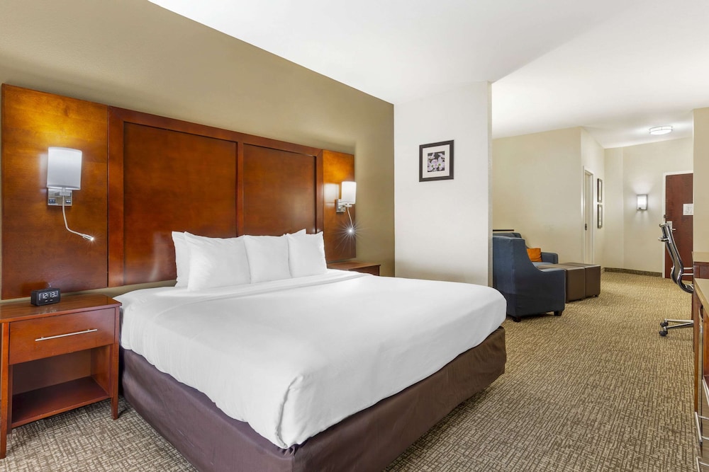 Suite, 1 King Bed with Sofa bed, Accessible, Non Smoking (2 Person Sofa Bed) - Photo 3