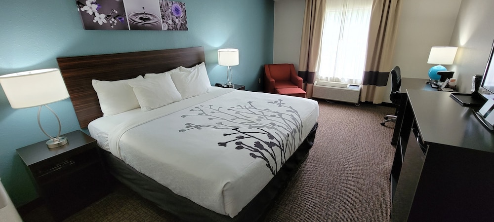 Standard Room, 1 King Bed, Non Smoking - Photo 1