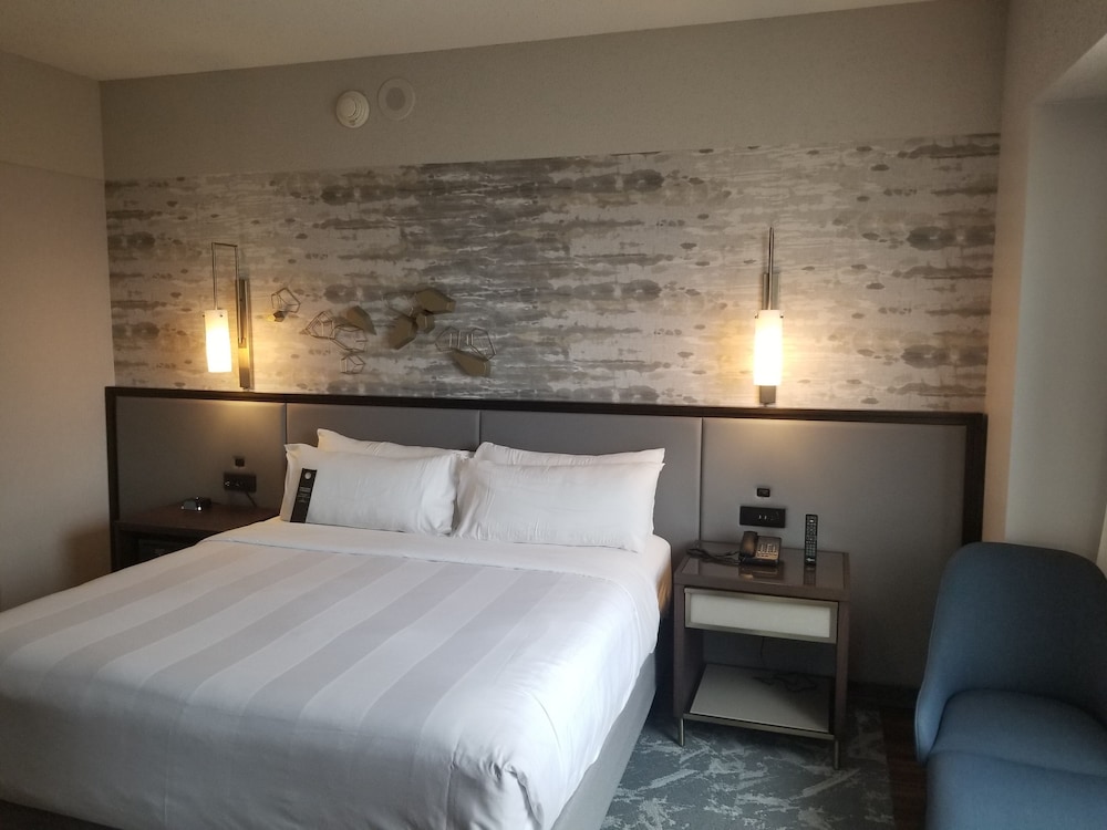 Room, 1 King Bed (Hearing Accessible) photo 2