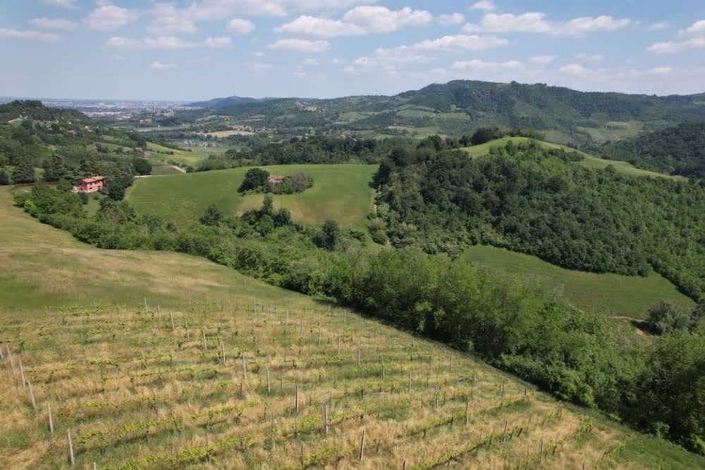 Villetta Monte San Lorenzo, Billede 10